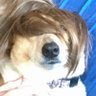 MC HammerToe's profile picture