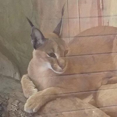 AlexZap14's profile picture