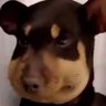 Profilbild von Nicx