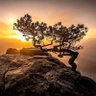 阿齊 profil fotoğrafı