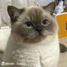 曾小贤's profile picture