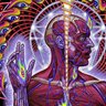 TOOL FAN 的头像