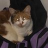 Tipsy's profile picture