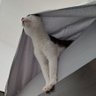 Winram profil fotoğrafı