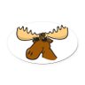 Profilbild von Mr. Anonymoose