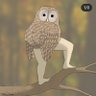 🦉A Rather Bewildered Owl🦉's profile picture