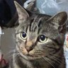 karko profil fotoğrafı