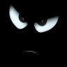 Alex Rodrigues's profile picture