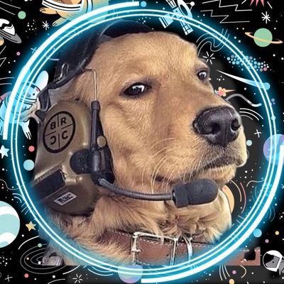Necesito un 🐶 en mi vida's profile picture