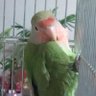 Hideki♧ 的头像