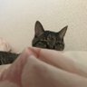 Фото профиля アキちゃんとゆみ