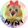 Tomo💛ToTo兄弟 的头像