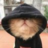 Bro's profile picture