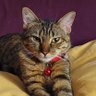 Profilbild von HONEY