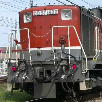 わたらい人's profile picture