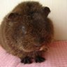 もるちゃん profil fotoğrafı