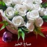 Фото профиля Gamal Elrys