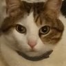 Profilbild von Giansolo