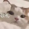 Robin's profile picture