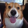 (あっこ) profil fotoğrafı