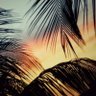 H A's profile picture
