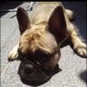 joao paulo's profile picture