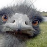 Martin Jukic's profile picture