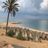 Mustafa Abu Elyazeed profil fotoğrafı