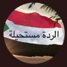 Profilbild von Mohammed Elkhatim