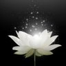Rosebud's profile picture
