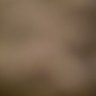 Profilbild von Chipped Wall
