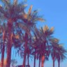 Profilbild von معنى الحياه