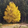 Фото профиля よしかつ