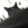 Lemoire Duffout's profile picture