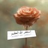 Profilbild von وردة البنفسج💜