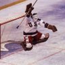 Political Hockey Fan's profile picture