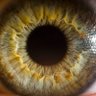 BrainBlownEyes 的头像