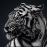 سعد 🇸🇦's profile picture