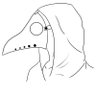 しゃもかも's profile picture