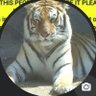 Profilbild von Ivor bigg