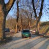 Фото профиля miskin
