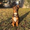 Speedytuxedo 's profile picture