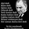 Asuman Korkmaz 的头像