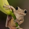 LaRica profil fotoğrafı