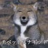 Pa!Pa!Pa!'s profile picture