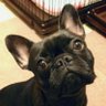 むーたん profil fotoğrafı