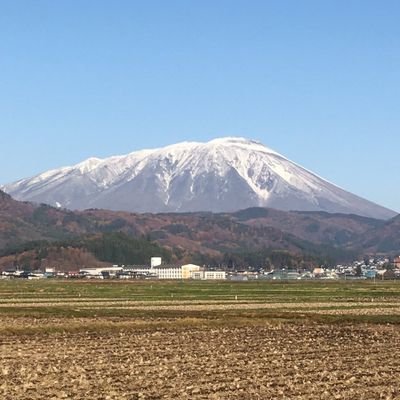 優しいマークン's profile picture