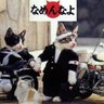 🤿 ＨＥＲＯ 🎾 的头像