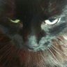 Cipri Ana's profile picture