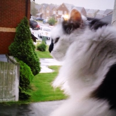 SimonWoods78's profile picture